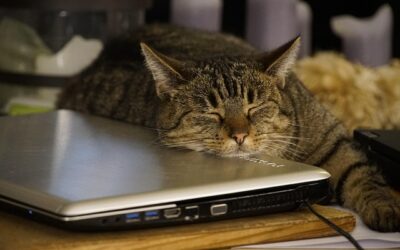 Empowering Impact: Engaging Strategies for Driving Results and Impact through Content Writing.